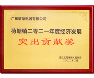 敏华连续四年荣获经济发展突出贡献奖!