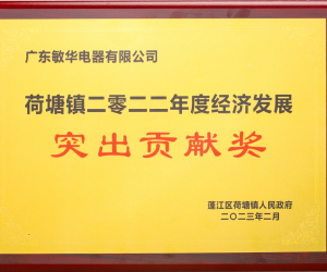 “遥耀领先”,敏华连续五年荣获经济发展突出贡献奖!